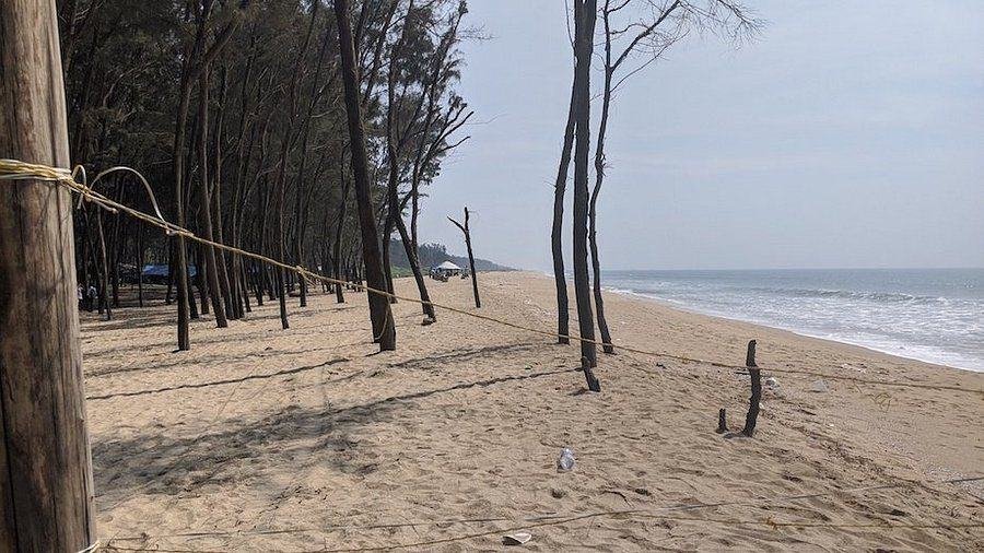 Tannirbhavi Beach